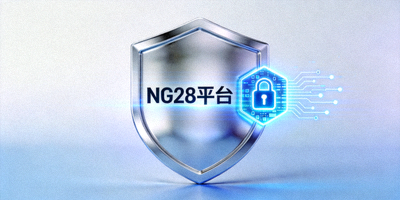 NG28平台安全盾牌标识与数据加密技术图标